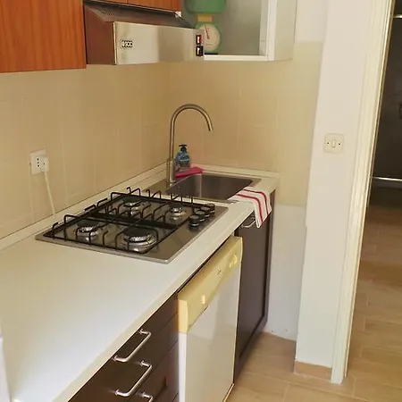 Pitosforo Flexyrent Rapallo